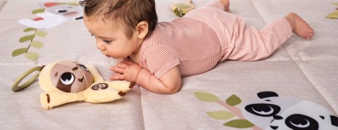 TINY LOVE TL11180000 Tiny smart zawieszka pozytywka LENIWIEC boha chic