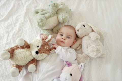 CLOUD B CLTT-7703 Szumiący Królik z czujnikiem ruchu i pozytywką