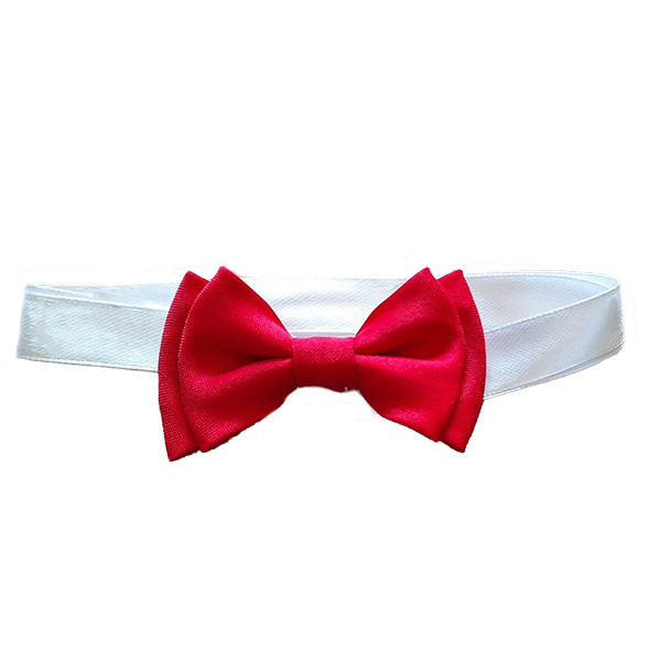 Boys' bow ties